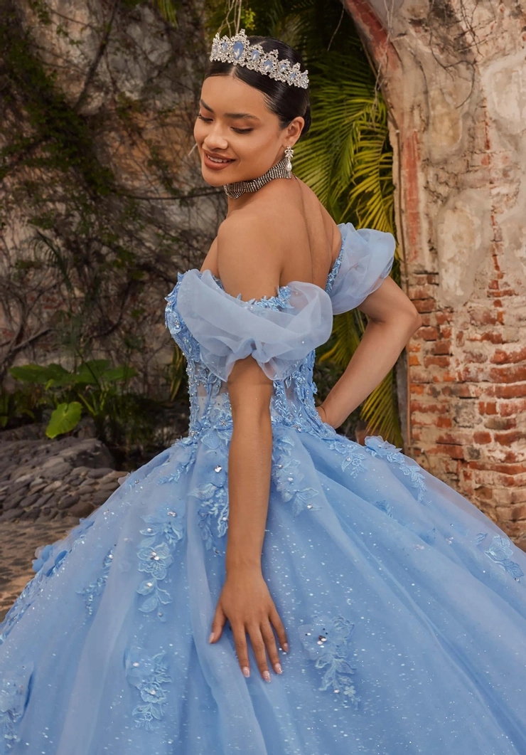 Vizcaya by Morilee Style #89542 #10 backface vertical cropped picture