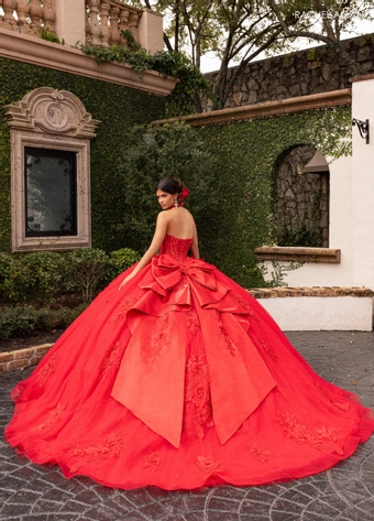Alta Couture by Rachel Allan RQ3156 #5 backface vertical thumbnail