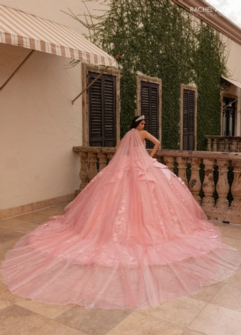 Alta Couture by Rachel Allan Style #RQ3162 #7 backface vertical thumbnail