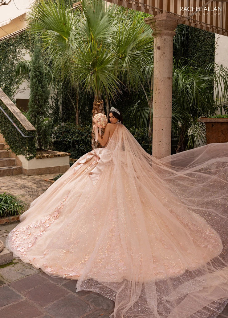 Alta Couture by Rachel Allan Style #RQ3162 #9 Champagne backface vertical picture