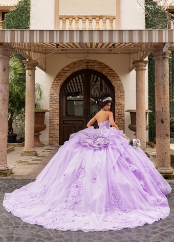 Alta Couture by Rachel Allan RQ3163 #5 backface vertical thumbnail