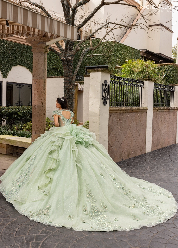 Alta Couture by Rachel Allan Style #RQ3163 #9 Sage Iridescent backface vertical picture