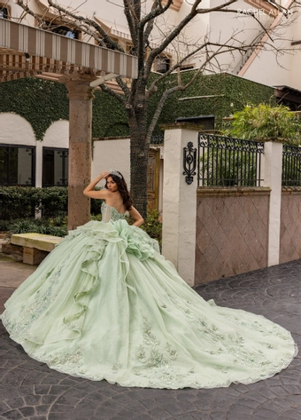 Alta Couture by Rachel Allan RQ3163 #6 backface vertical thumbnail