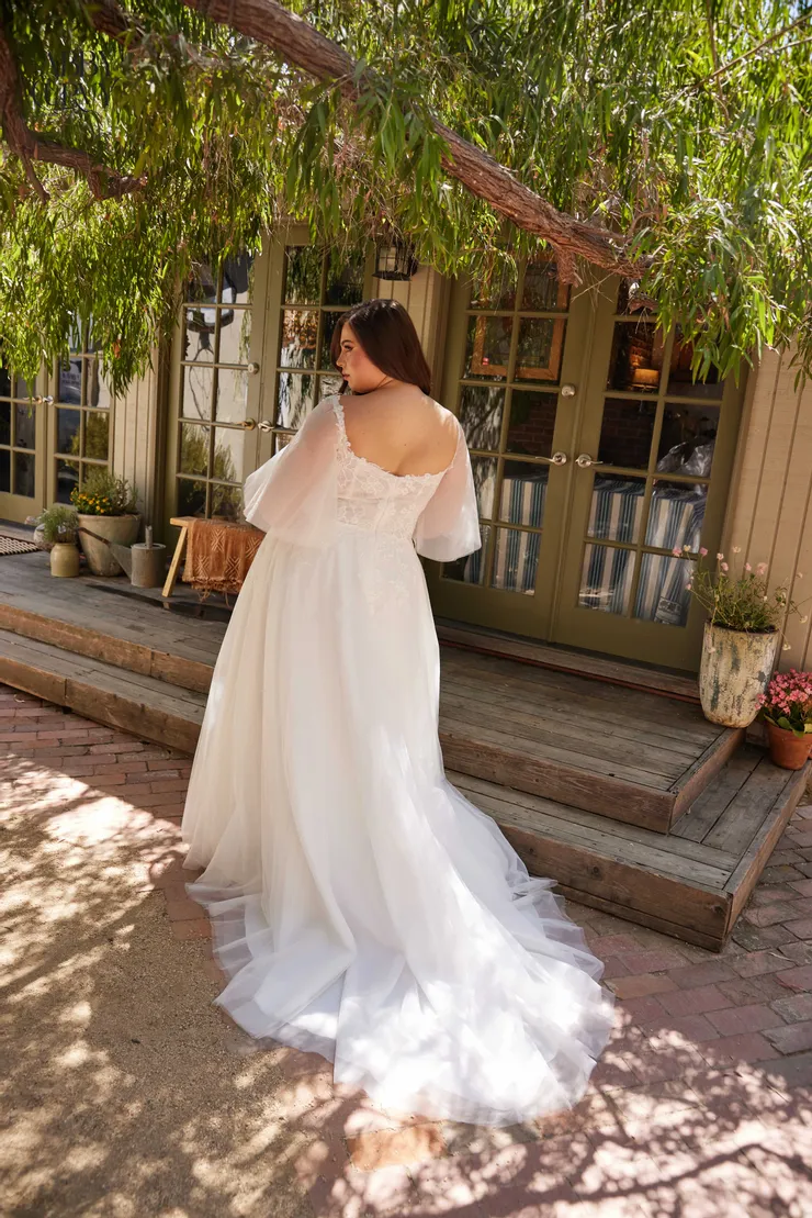Abby Curvy Style #1113Z Backface Thumbnail Image