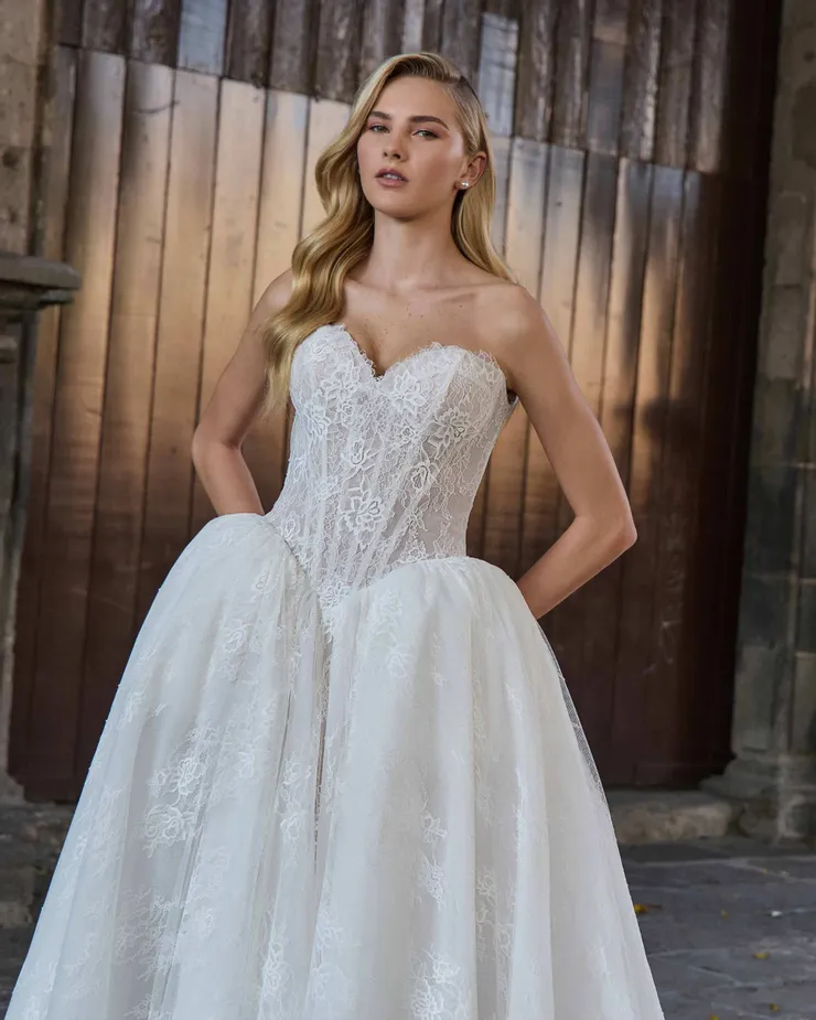 Calla Blanche LA25247