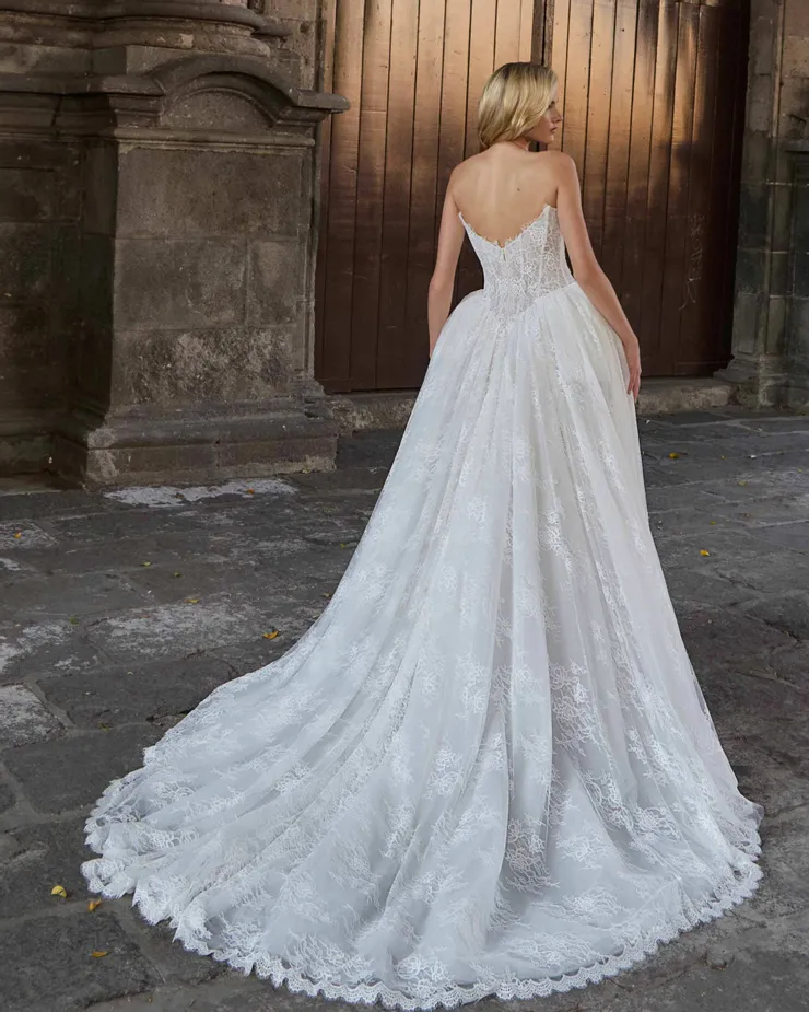 Calla Blanche LA25247