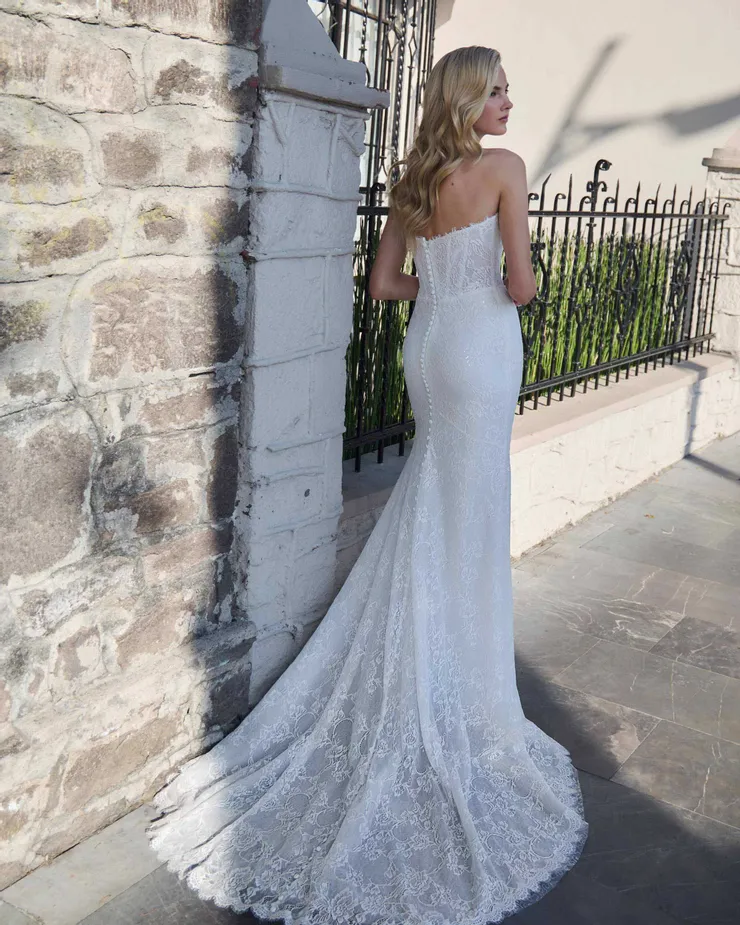 Calla Blanche LA25248