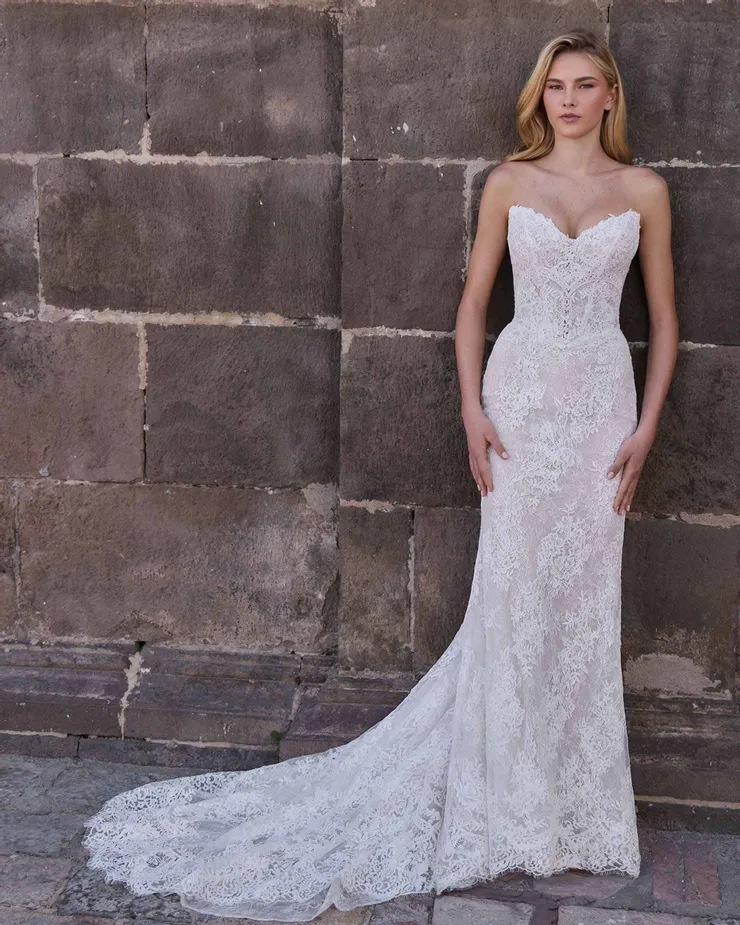 Calla Blanche LA25260