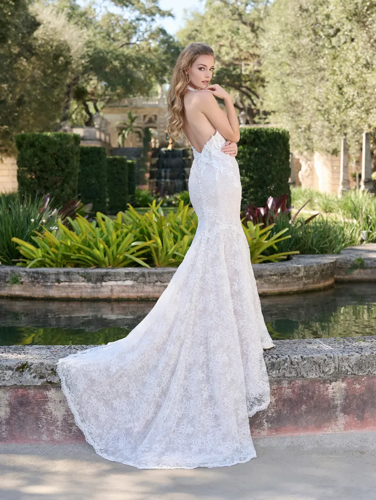 lace halter sheath dress 31344 - Adrianna Papell Platinum Mini dress