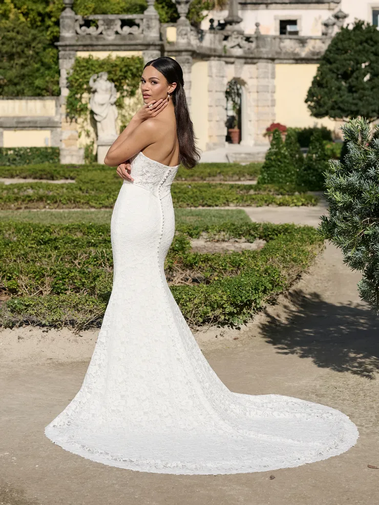 Adrianna Papell Platinum Style #31346 #3 backface vertical picture