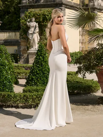 Adrianna Papell Platinum Destination 45026 #2 backface vertical thumbnail