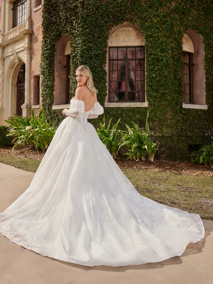 Christina Wu Brides Style #15925 #1 default backface vertical picture