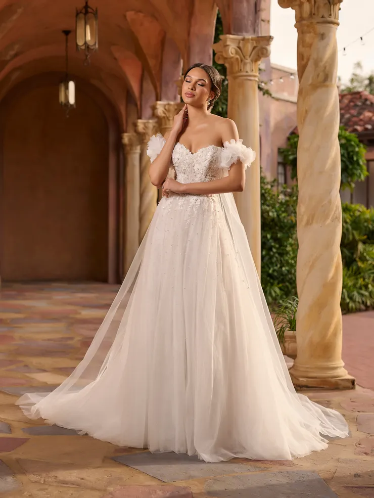 Christina Wu Brides Style #15927 #1 frontface vertical picture