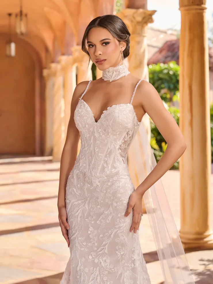 Christina Wu Brides Style #15941 #2 frontface vertical cropped picture