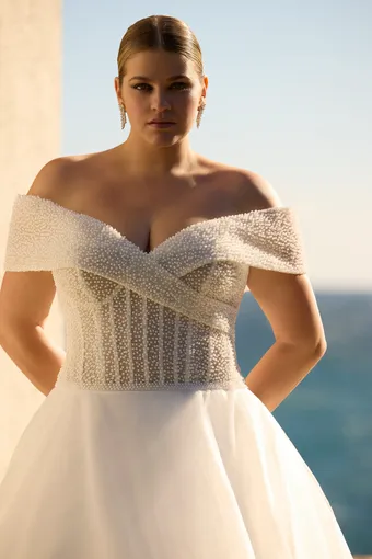 Veni Infantino 63164 #3 frontface vertical cropped thumbnail