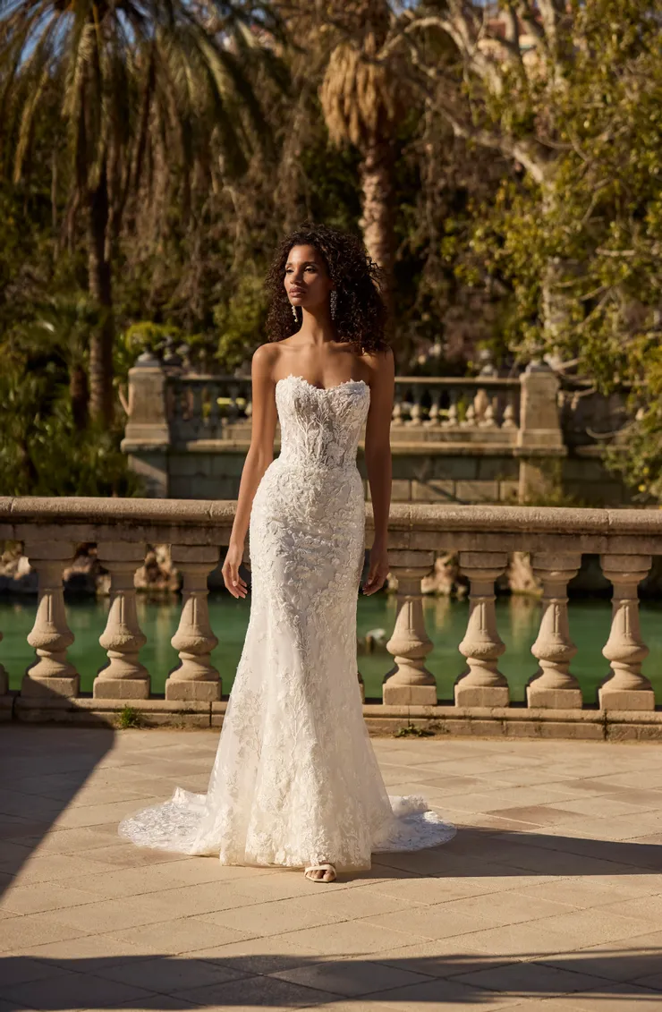 Veni Infantino Style #63194 Image