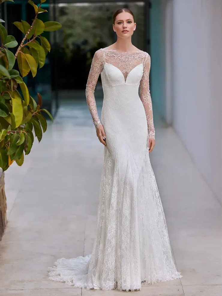 Pronovias Cieny Image
