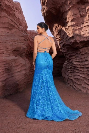 Jadore Evening J27029 #9 backface vertical thumbnail