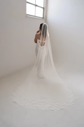 Heirloom Bridal Magnolia #0 default vertical thumbnail