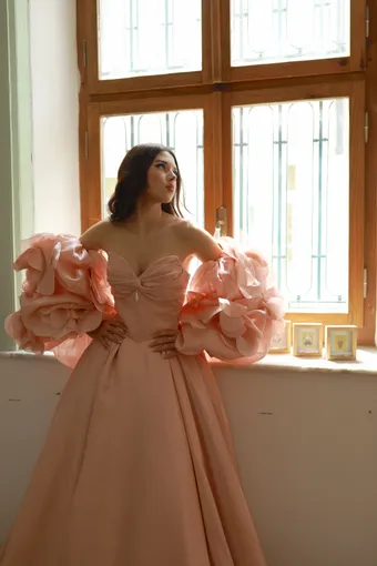 Jana Ann Couture Style #Rosalure (blush gown with statement sleeves) #0 default frontface vertical cropped thumbnail
