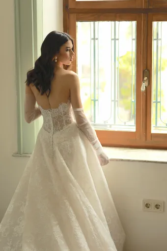 Jana Ann Couture Style #Seraphina (lace corset ballgown) #6 backface vertical cropped thumbnail