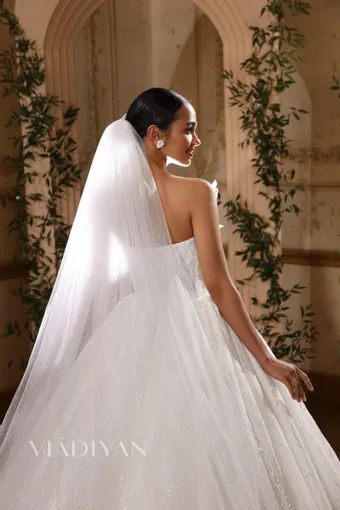 Vladiyan 2528 #3 backface vertical cropped thumbnail