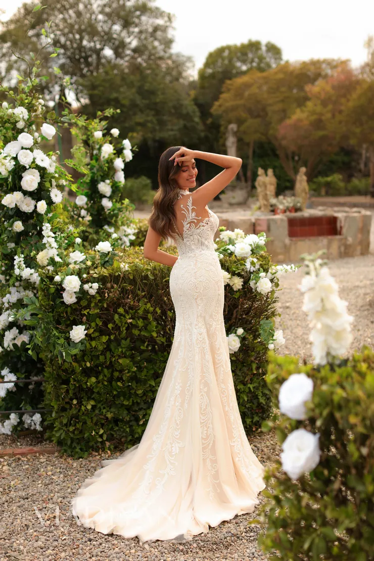 Vladiyan 2462 #1 default backface vertical picture