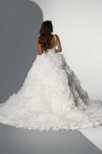 Angel Rivera Wonderland #4 default backface vertical thumbnail