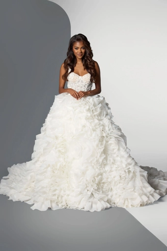 Angel Rivera Wonderland #0 default frontface vertical thumbnail