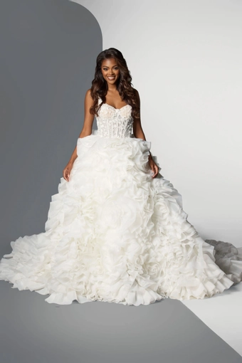 Angel Rivera Wonderland #2 frontface vertical thumbnail