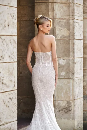 Zavana Bridal Demi #6 backface vertical cropped thumbnail