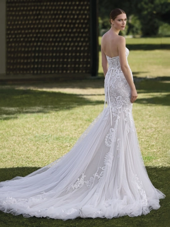 Privee by Pronovias Galyn #1 default backface vertical thumbnail