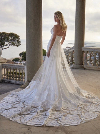 Privee by Pronovias Liet #4 default backface vertical thumbnail