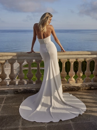 Privee by Pronovias Liet #3 backface vertical thumbnail