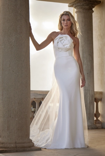 Privee by Pronovias Liet #1 frontface vertical thumbnail