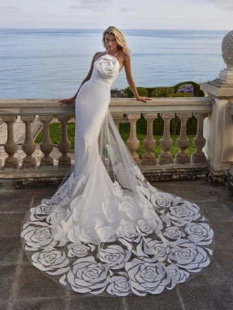 Privee by Pronovias Liet #2 frontface vertical thumbnail