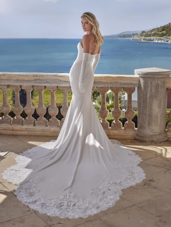 Privee by Pronovias Nurya #1 default backface vertical thumbnail