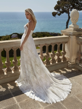 Privee by Pronovias Rymer #2 backface vertical thumbnail