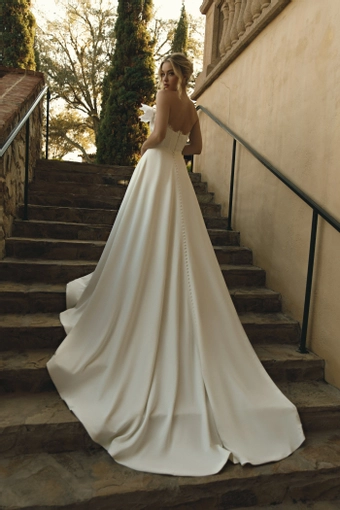 Elissar Cambrie #4 backface vertical thumbnail
