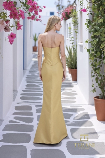 Terani Couture 261E6292 #2 backface vertical thumbnail