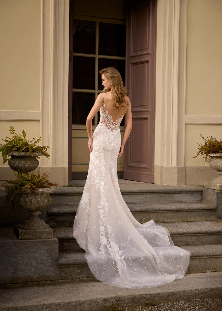 Randy Fenoli Juniper