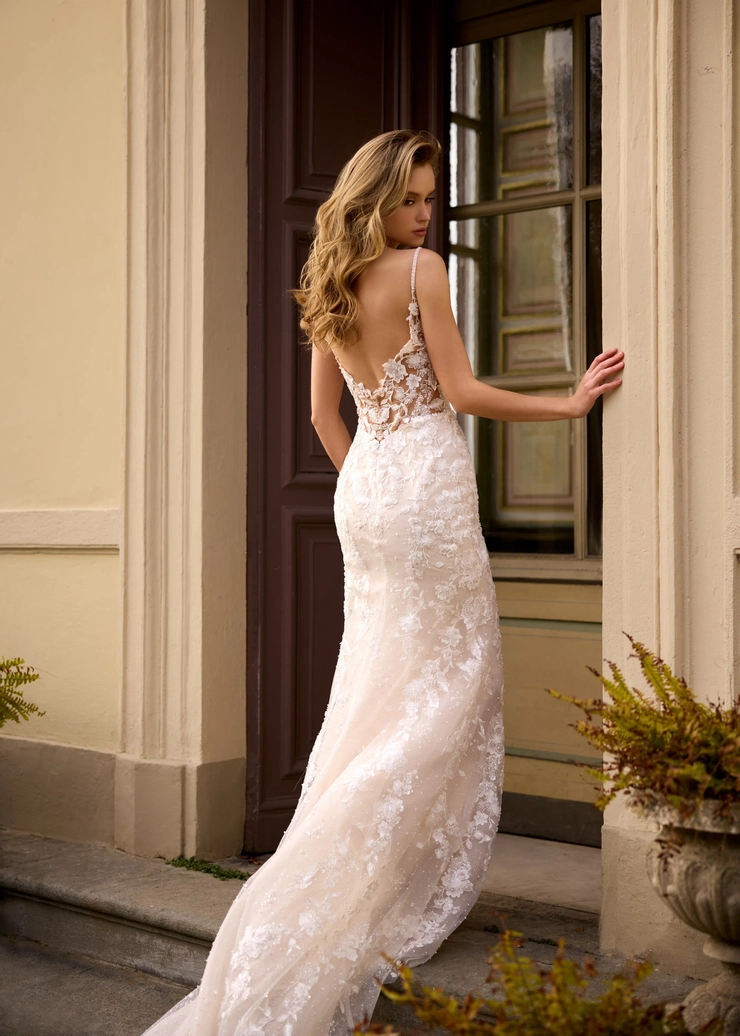 Randy Fenoli Juniper