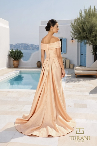 Terani Style #261M6444 $3 backface vertical thumbnail