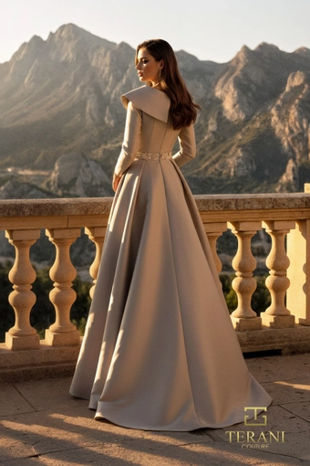 Terani Style #261M6455 $2 backface vertical thumbnail