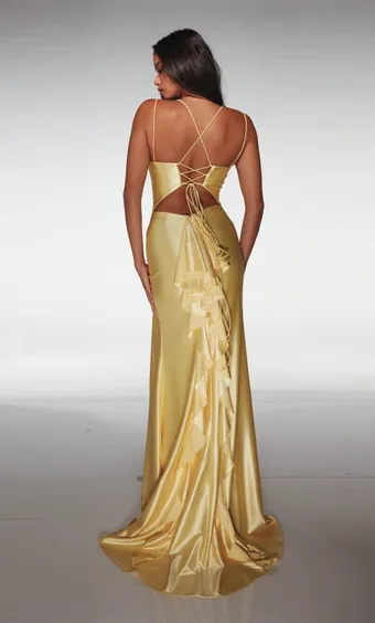 Aerie Couture Style: 399 #2 default backface vertical thumbnail