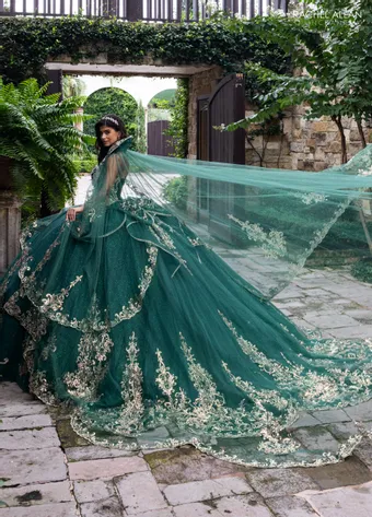 Alianna by Rachel Allan RQ6015 #4 default backface vertical thumbnail