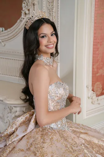 AmaBella Quinceanera Q1081 #10 backface vertical cropped thumbnail