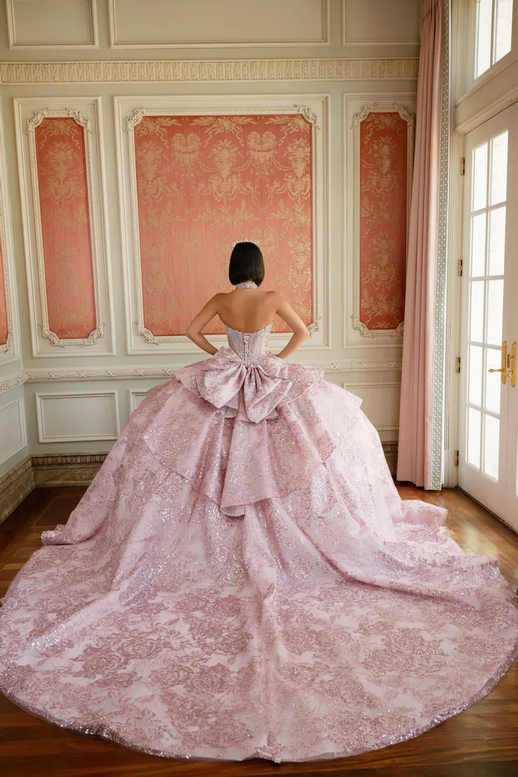 AmaBella Quinceanera Style #Q1081 #1 default Pink backface vertical picture