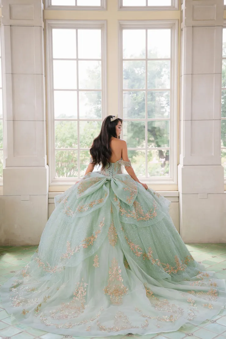 AmaBella Quinceanera Style #Q1082 #1 default Sage backface vertical picture