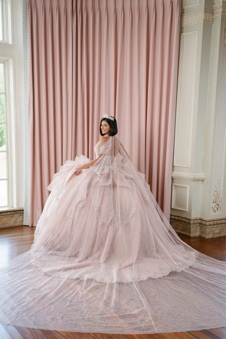 AmaBella Quinceanera Style #Q1087 #8 default Champagne/Nude backface vertical picture